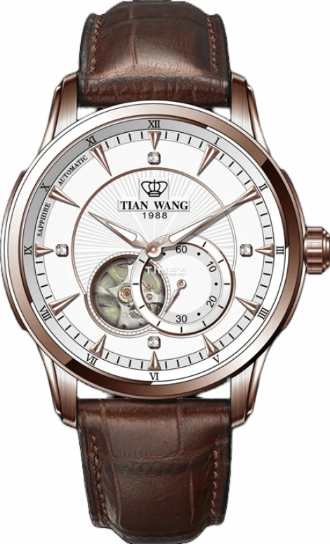 TianWang Round Times GS5963P/D