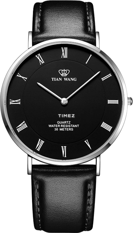 TianWang TWINKLE GS3970S-B