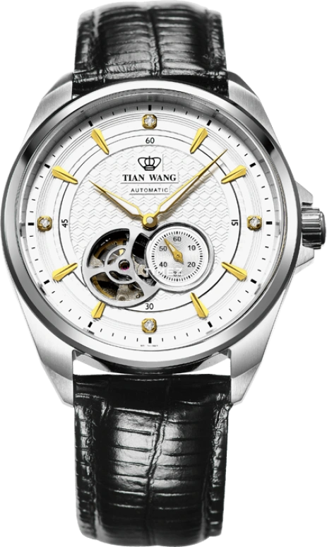 TianWang,Other ,Stainless Steel,White,Automatic,Sapphire,Glass,Round,GS5811S,GS5811S/D-A