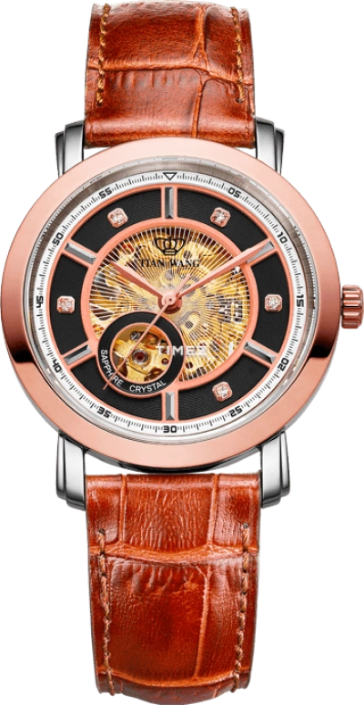 TianWang Golden Knight 81699