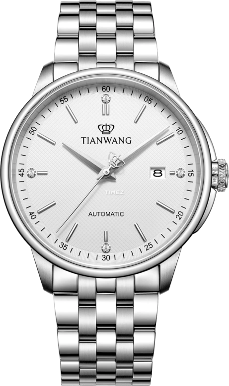 TianWang,Permanent 42mm,42mm,Stainless Steel,Silver,Automatic,Day,Sapphire,GS51172S,GS51172S.D.S.W-1
