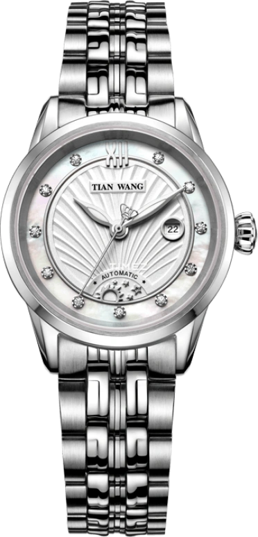 TianWang Leader LS5840S/D-1