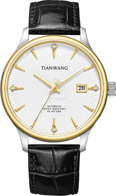 TianWang Other GS51246T.D.LB.S