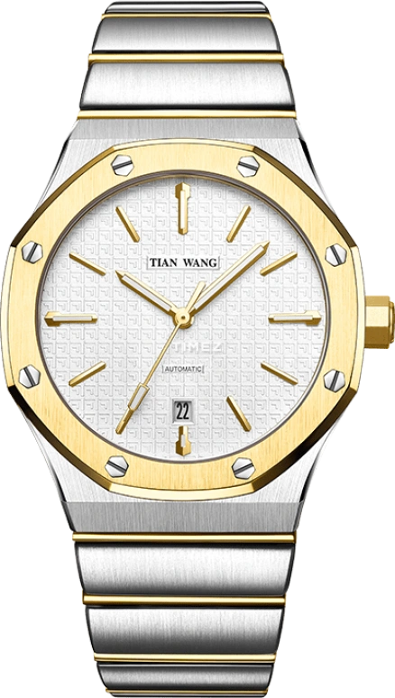 TianWang,X ,Stainless Steel,White,Automatic,Day,Sapphire,Crystal Glass,GS51041T,GS51041T.D.T.W