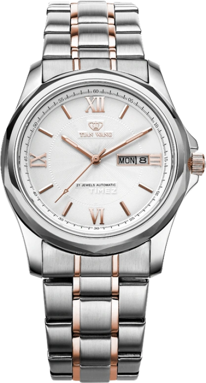 TianWang,Cardiac ,Stainless Steel,White,Automatic,Date,Day,GS5607TP,GS5607TP/DD