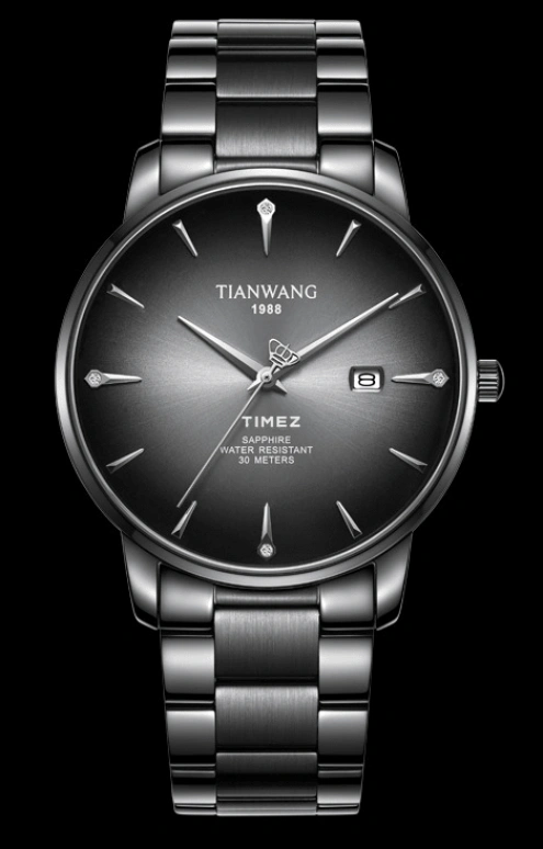 TianWang,Learned 39mm,39mm,Stainless Steel,Black,Quartz,Day,Sapphire,Crystal Glass,GS31162B,GS31162B.D.B.B