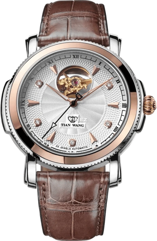 TianWang Elite 8699