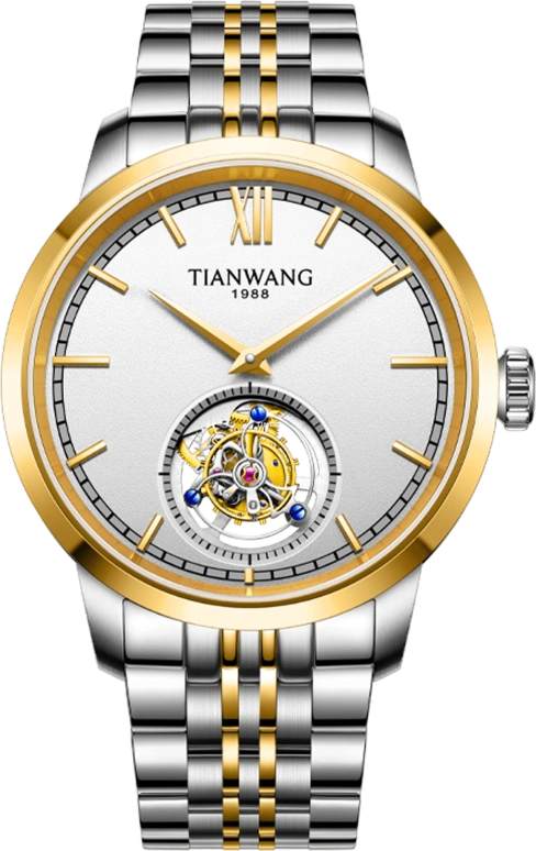 TianWang,Tianjue Tourbillon 44mm,44mm,Stainless Steel,White,Handwound,Tourbillon,Crystal Glass,GS51255T,GS51255T.T.W