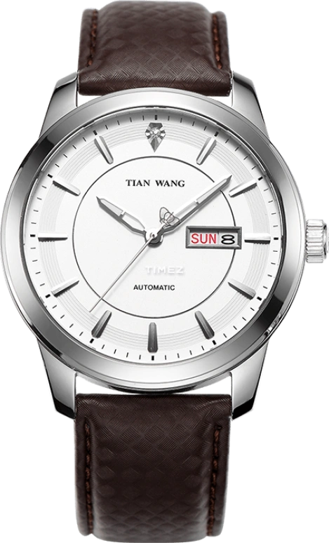 TianWang Other GS5846S/DD-A
