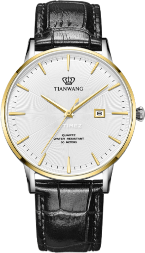 TianWang Other GS31245T.D.LB.W