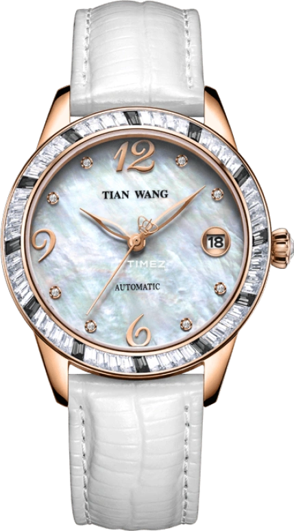 TianWang Shine LS5867P/D-W-A