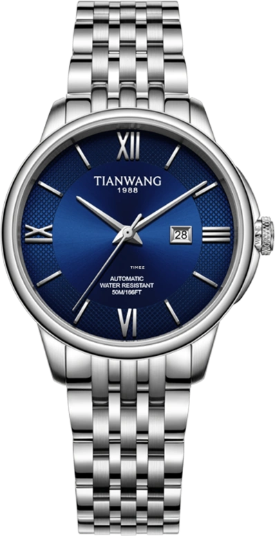 TianWang Permanent LS51310S.D.S.U.B