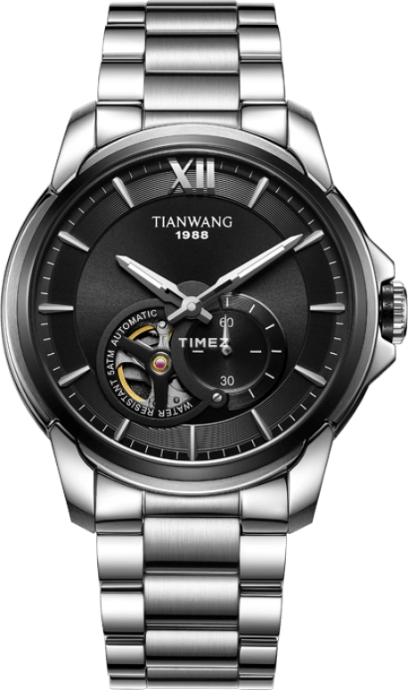TianWang The Conqueror GS51029BS.DSB-1