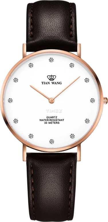 TianWang TWINKLE LS3968P-A