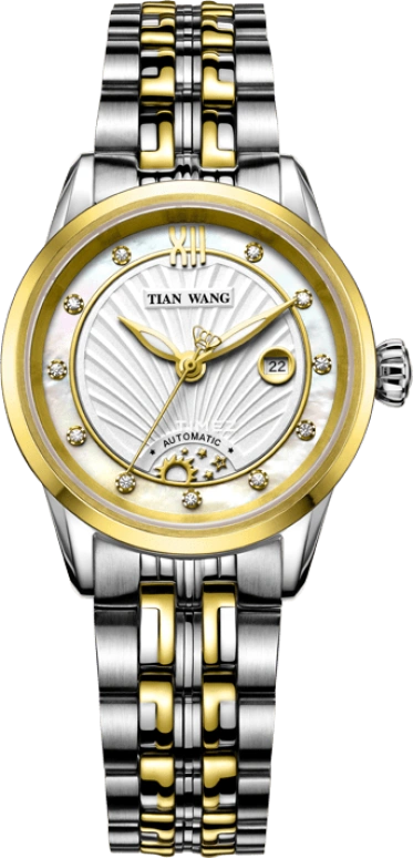 TianWang,Leader ,Stainless Steel,White,Automatic,Day,Sapphire,Glass,LS5840T,LS5840T/D