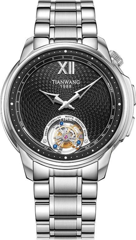 TianWang Other GS51199S.S.B