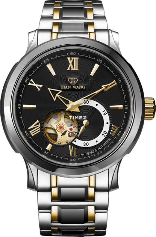 TianWang,Round Times ,Stainless Steel,Black,Automatic,Sapphire,Crystal Glass,Round,GS5590T,GS5590T/D