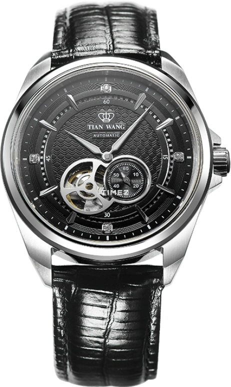 TianWang Other GS5811S/D-B