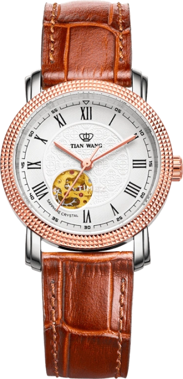 TianWang Golden Knight 61199