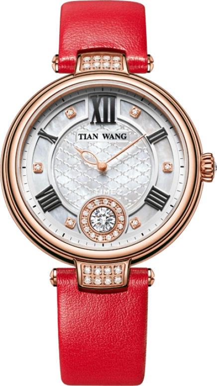 TianWang Shine LS3906P-R