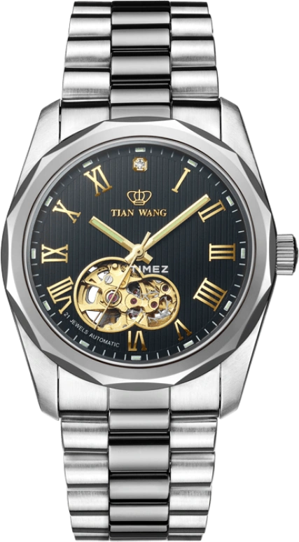 TianWang Famous Anisan GS5541S-B
