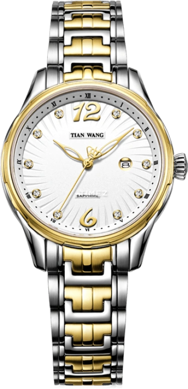TianWang Leader LS5769T/D