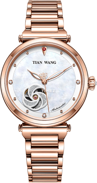 TianWang MISS ONE LS51107P.P.W