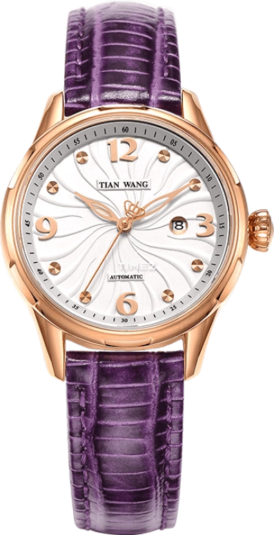 TianWang Star LS5831P/D-P