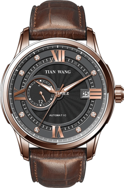 TianWang,Cardiac ,Stainless Steel,Black,Automatic,Day,Sapphire,Crystal Glass,GS5899P,GS5899P/DD
