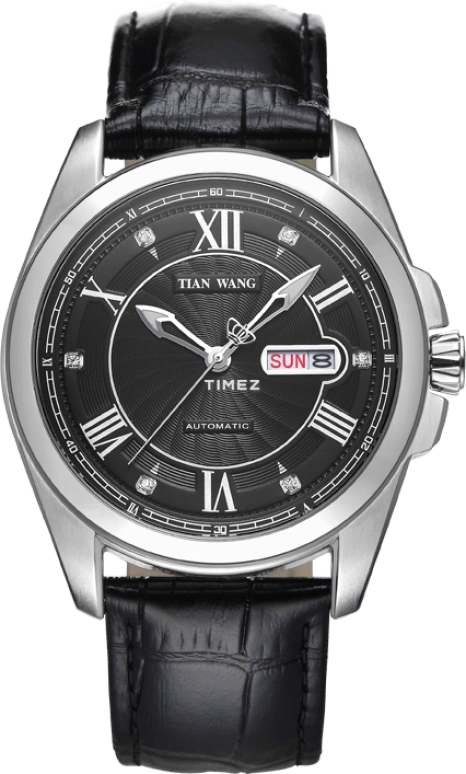 TianWang Other GS5826S/DD-B