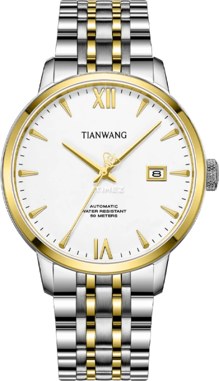TianWang,Other 35.50mm,35.50mm,Stainless Steel,White,Automatic,Day,41hours,GS51248T,GS51248T.D.T.W