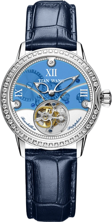 TianWang,Tianjue Tourbillon ,Stainless Steel,Blue,Handwound,Tourbillon,Sapphire,Glass,LS5860S,LS5860S-B-1