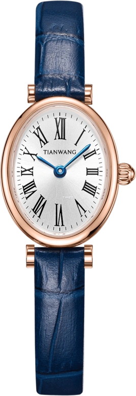 TianWang Shine LS31380P.LU.S