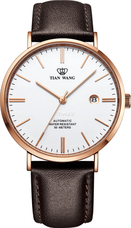 TianWang TWINKLE GS5955P.D.LC.W