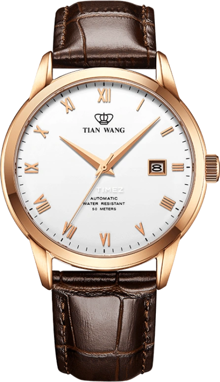 TianWang,Kunlun ,Stainless Steel,Silver White,Automatic,Day,Sapphire,Crystal Glass,GS5918P,GS5918P/D