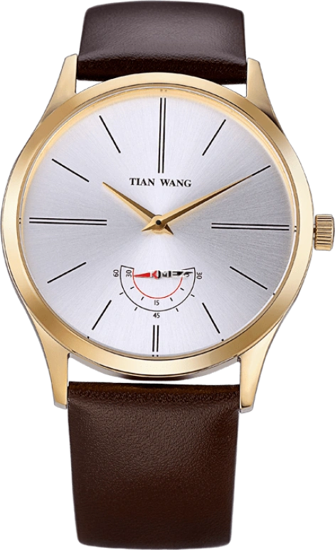 TianWang Other LS3691G