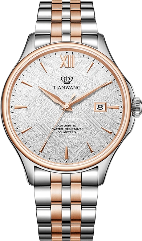 TianWang,MOUNTAINS 41.50mm,41.50mm,Stainless Steel,Grey,Silver,Automatic,Day,Sapphire,Crystal Glass,GS51300TP,GS51300TP.D.TP.S