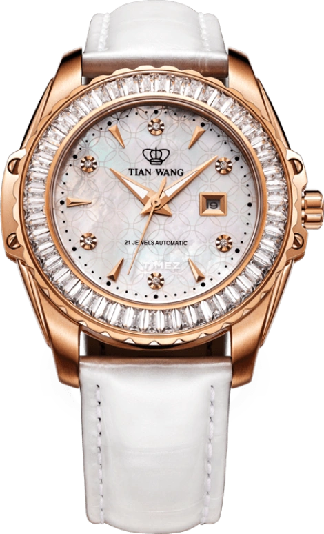 TianWang Pioneer＆Fashionable LS5677P/D