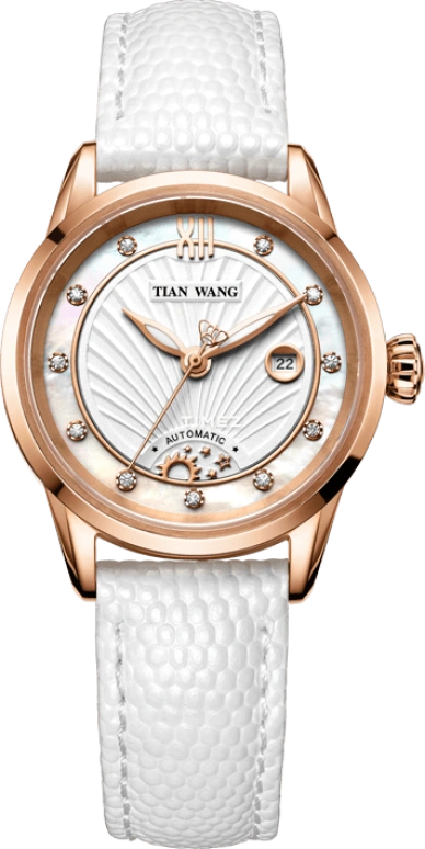 TianWang Leader LS5841P/D-1