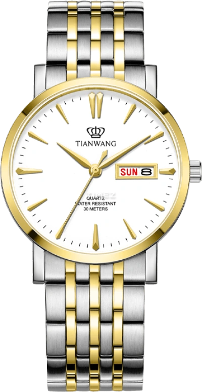 TianWang Other GS3690T/DD-A