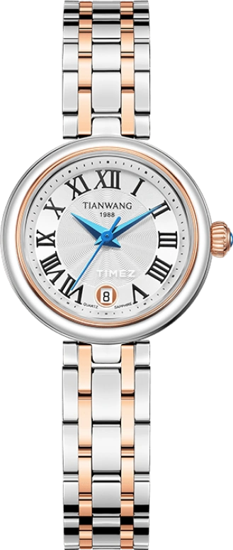 TianWang Other LS31281TP.D.TP.S