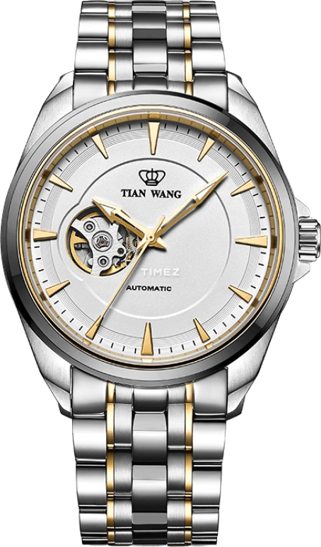 TianWang,MOUNTAINS 42mm,42mm,Stainless Steel,Silver White,Automatic,Sapphire,Glass,Round,GS51006NT,GS51006NT.NT.S