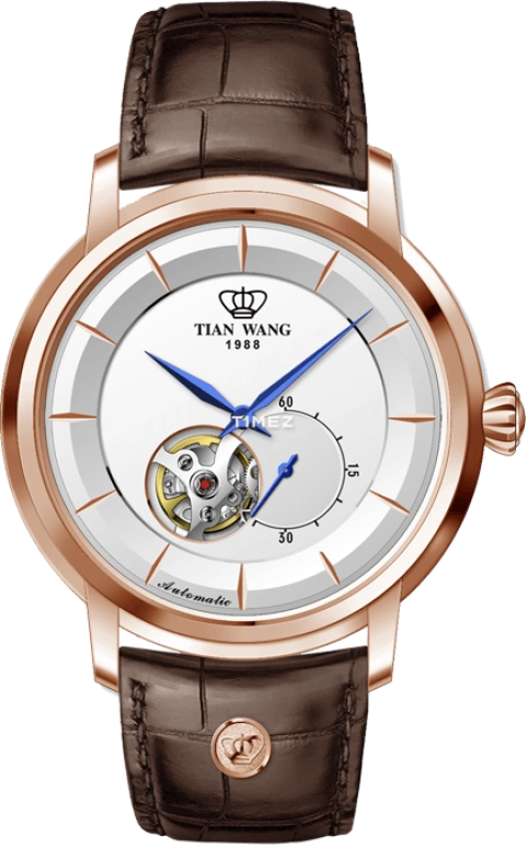 TianWang Permanent GS5940P.D.LC.W-1