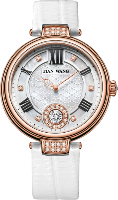 TianWang Shine LS3906P-W