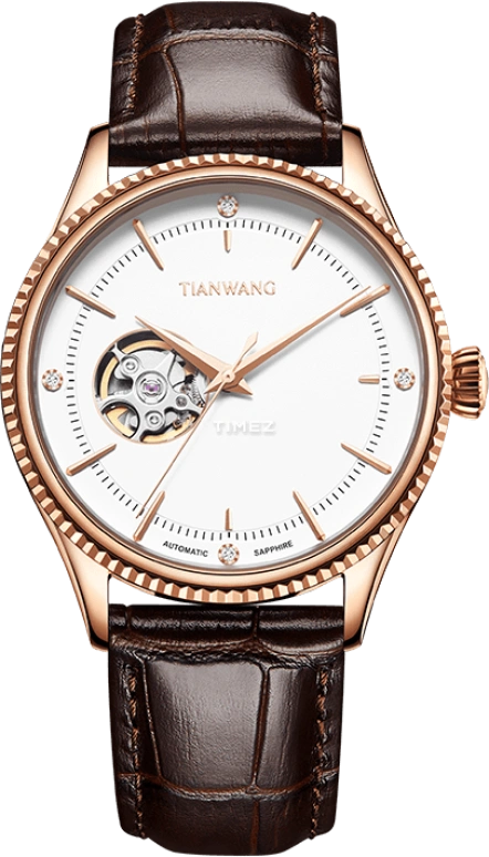 TianWang,Kunlun ,Stainless Steel,Silver White,Automatic,Sapphire,Glass,Round,GS51286P,GS51286P.LC.W