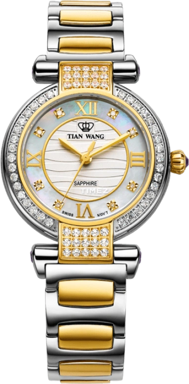 TianWang Shine LS3661T