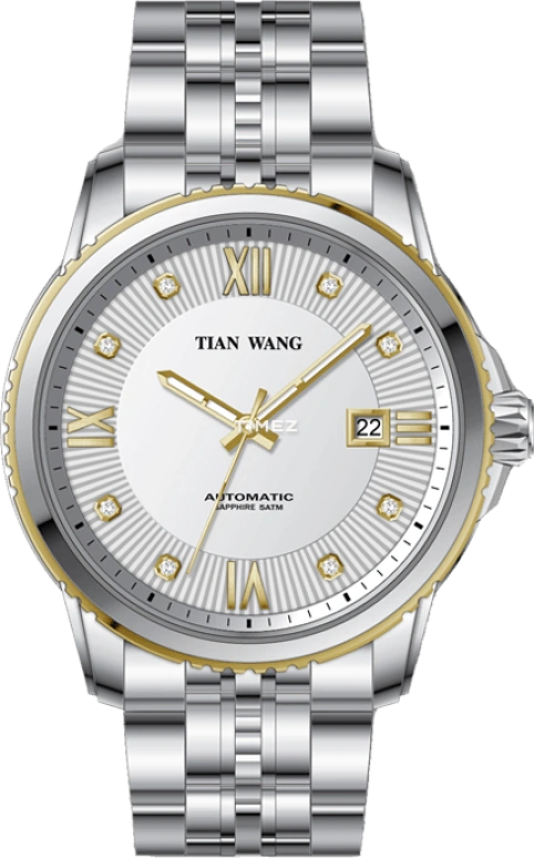 TianWang,Cardiac ,Stainless Steel,White,Automatic,Day,Sapphire,Glass,GS5890T,GS5890T/D