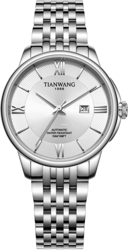 TianWang Permanent LS51310S.D.S.W