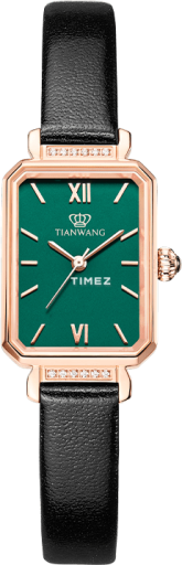 TianWang Other LS31283P.LB1.E.A