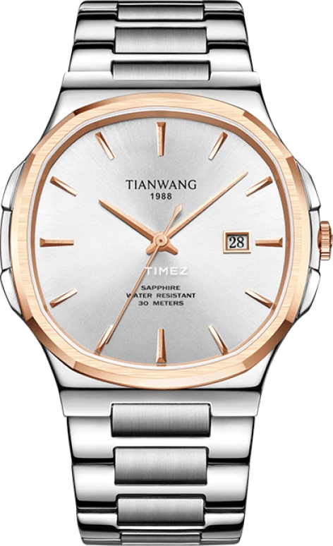 TianWang Sea GS31204TP.D.S.S